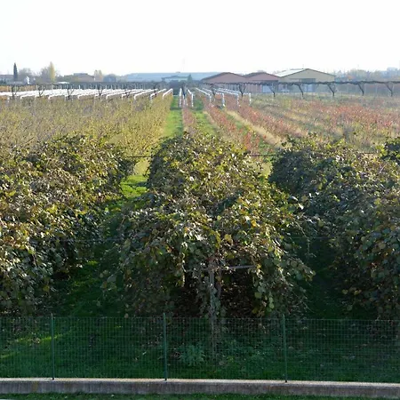 Holiday home Casa Lo Specchio Lugagnano